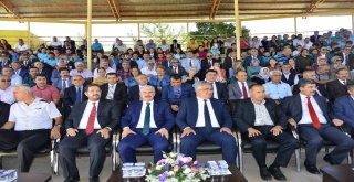 Yunus Emre Türbesi Başında Anıldı