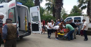 Sinopta Trafik Kazası: 1 Yaralı