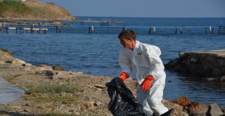 Denizdeki Petrol Sızıntısının Kaynağını Tübitak Da Araştırıyor