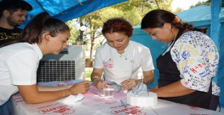 Pasta Ve Yemek Yapmak İçin Aydında Kampa Girdiler