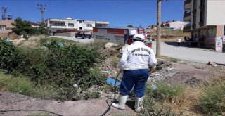 Şırnak Şehir Merkezinde İlaçlama Çalışmaları Devam Ediyor