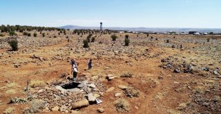Susuzluktan 40 Bine Yakın Hayvanla Göç Ettiler