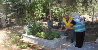 Birecikte Mezarlığa Kadın Eli Değdi