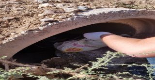 Başkalede 81 Kilo 420 Gram Eroin Ele Geçirildi
