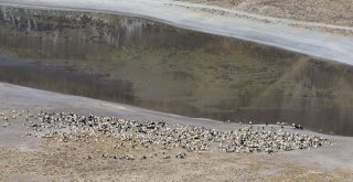 Nemrut Kalderası Sonbahar Manzarasıyla Ziyaretçilerini Hayran Bırakıyor