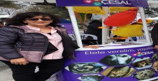 Çesal: Ünya Sadece İnsanlara Ait Değil