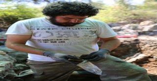 Gölyazıdaki İstiridye Kabukları Tarihe Işık Tutuyor