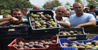 Dünyaca Ünlü Meyveye İhracat Yasağı