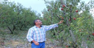 Osmanelide Dolu Büyük Zarara Yol Açtı