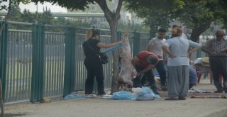 Kurban Keserken Ne Cezaya Ne De Çocuklara Aldırmadılar