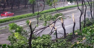 Mangkhut Tayfunu Çine Ulaştı: 2 Ölü