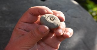 Maydos Kilisetepe Höyüğünde 4 Bin Yıllık Ağırşak Bulundu