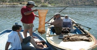 Meksikadan Bafaya Gizemli Yolculuk