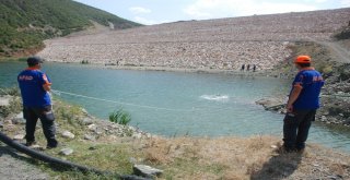 Kayıp Evrimi Balık Adamlar Arıyor