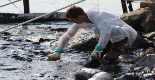 Foçada Denizdeki Kirlilik Havadan Görüntülendi