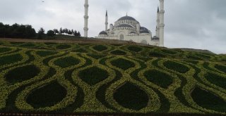 (Özel) İnşaatında Sona Gelinen Çamlıca Camiinde Yapılan Çevre Düzenleme Çalışmaları Havadan Görüntülendi