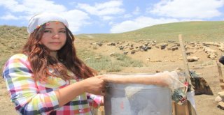 Hakkarili Berivanların  Zorlu Mesaisi