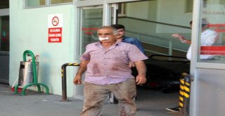 Erzurumda Acemi Kasaplar Hastaneleri Doldurdu