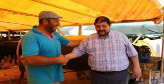 Kasaplar Odası Genel Başkan Yardımcısından Marketlere Minyatür Koçlu Gönderme