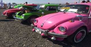 Büyükçekmecede En Cicimiz Vosvos Festivali Başladı