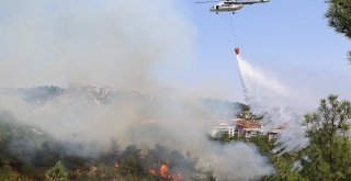 Karabükte Orman Yangını