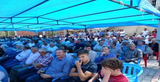 Aşağı Yoncaağaç Köyü Camii İbadete Açıldı