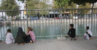 Sulama Kanalında Kaybolan Raminin Yakınları Yürekleri Dağladı