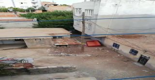 Yavru Köpeği Kürekle Dövdü