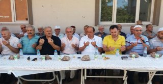 Gülüç Belediyesi Mezarlıklarda Kuran-I Kerim Okuttu