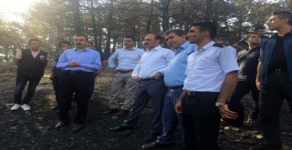 Akdağmadeninde Orman Yangını