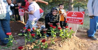 Şehit Anne Ve Oğlu Yan Yana Toprağa Verildi