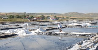 Aktuzlada Günde 120 Ton Tuz Üretiliyor