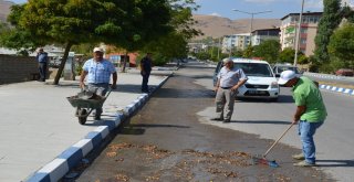 Adilcevaz Belediyesinden Temizlik Seferberliği