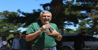 Dereyalak Mercimeği Hasattan Önce Bitiyor