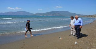 Caretta Carettalar İçin 15 Kilometre Kulaç Attı