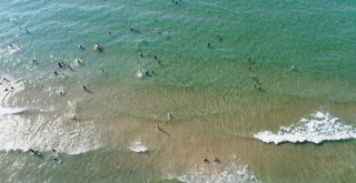 Dilek Yarımadasında Ormanla İç İçe Plaj Keyfi