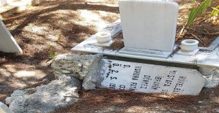 Gurbetçi Vatandaşın Mezarlık Tepkisi