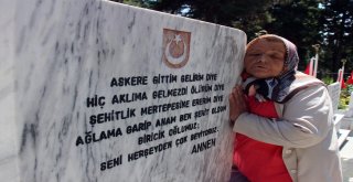 Şehidin Mektubundaki Sözleri Mezar Taşında