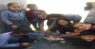 Ortaokul Öğrencilerinden Farklı Etkinlik