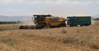 Elazığda 1 Milyon Dekar Alanda Hububat Hasadı
