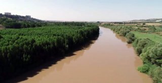 Prof. Dr. Ahmet Kılıç: “Dicle Vadisi Projesi Yeniden Ele Alınmalı”