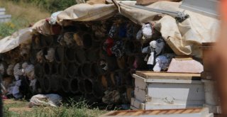 Terör Bitti Bölgeye Huzur Geldi