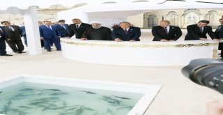 Hazar Zirvesine Katılan Devlet Başkanları Hazar Denizine Balık Bıraktı