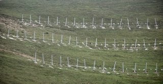 Türkiyede Bir İlk Zigana Dağında Gerçekleştiriliyor