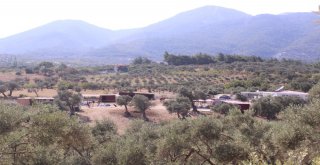 Sibelin Çiftliği