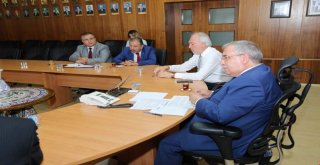 Kütahya Festivallere Artık Onur Üyesi Olarak Davet Ediliyor