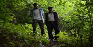 İlkel Teleferikle Metrelerce Yükseklikte Ölümüne Yolculuk