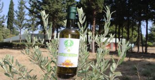 Antbirlik Zeytinyağı 0,5 Asit Oranıyla Kalitesini İspatladı