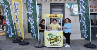 Alaşehir Festivale Hazır