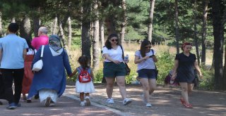 Bayram Tatilinde Binlerce Kişi Boludaki Tabiat Parklarına Akın Etti